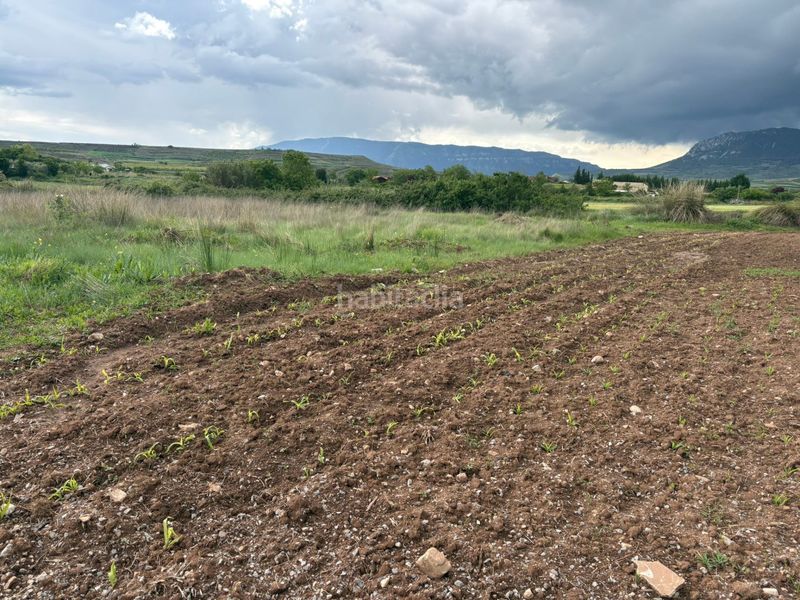 Foto 7b11e330-53c9-4dd3-a316-1e95d561e075. Finca rústica en Alberite