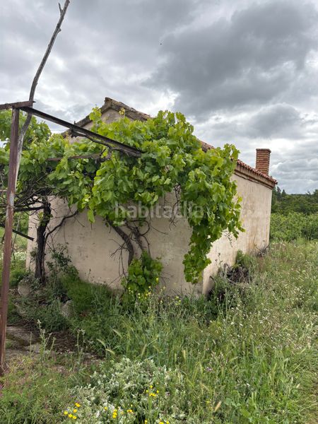 Foto 97947753-7372-49cc-9a09-455ee462b9df. Finca rústica a Alberite
