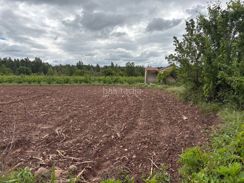 Foto f3aafbee-ccce-4319-95b1-665a734006c0. Finca rústica a Alberite