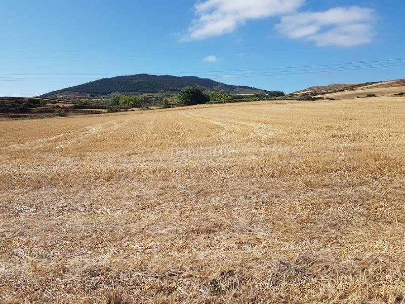 Foto 533249bd-d349-40b4-855d-30b64906235f. Finca rústica  - () en Clavijo