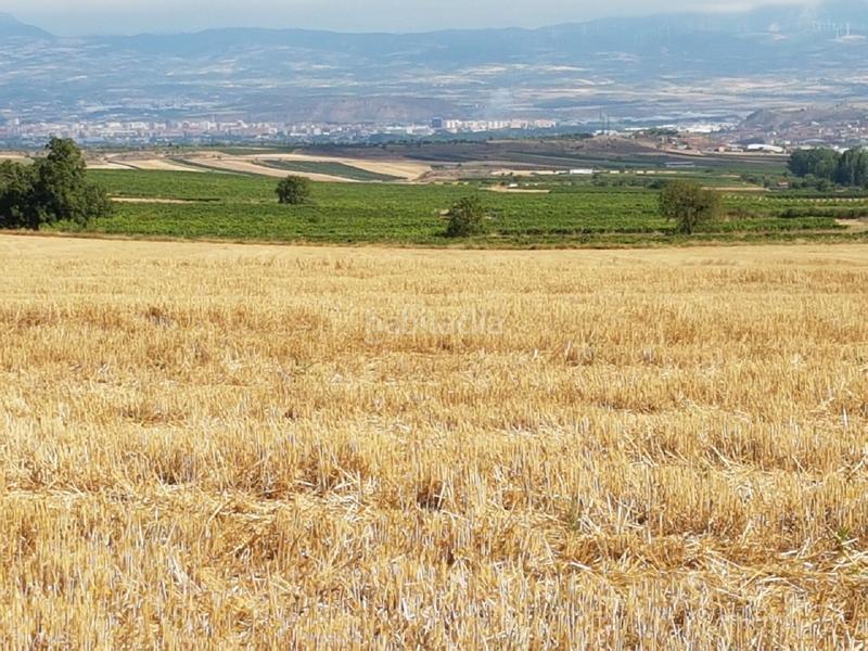 Foto b2791917-8f92-4613-848b-21953ed727a9. Finca rústica  - () en Clavijo