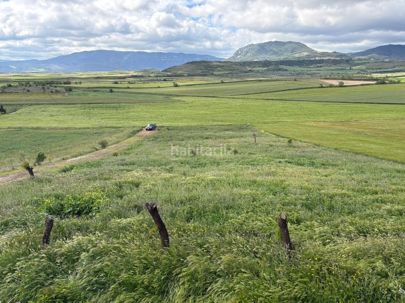 Foto 87038a36-d536-4484-a613-7eb080dcce9d. Finca rústica a Alberite