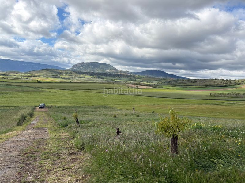 Foto 88163548-72e6-4f18-b873-4c69b8882317. Finca rústica a Alberite