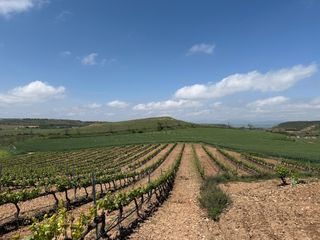 Rural plot in Villamediana de Iregua