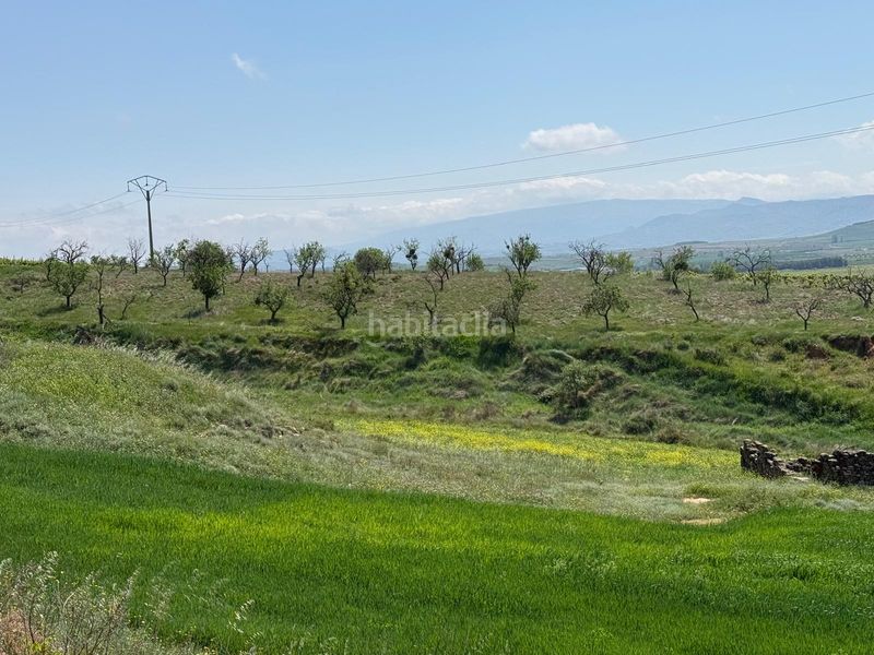 Foto d589b5f3-7c64-4a29-9ad7-925d0a63007c. Finca rústica a Villamediana de Iregua