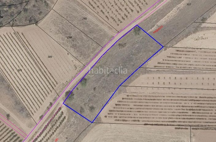 Foto 4d8eef98-9a62-484f-b3e3-591e4bc92f5b. Finca rústica a calle vista alegre 1 a Alberite
