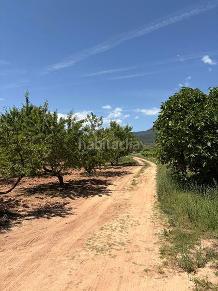 Foto c05f747d-1542-4c09-9075-56896030a6b7. Finca rústica a Sorzano