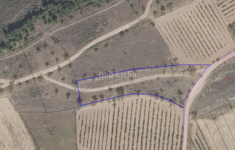 Foto 4a2af7af-5789-4ea2-a1f6-3e8290365512. Finca rústica finca de secano en Alberite