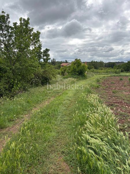 Foto 31bd7ef8-0dd7-4482-ac53-19003be3d20b. Finca rústica a calle pío sicilia 15 a Alberite