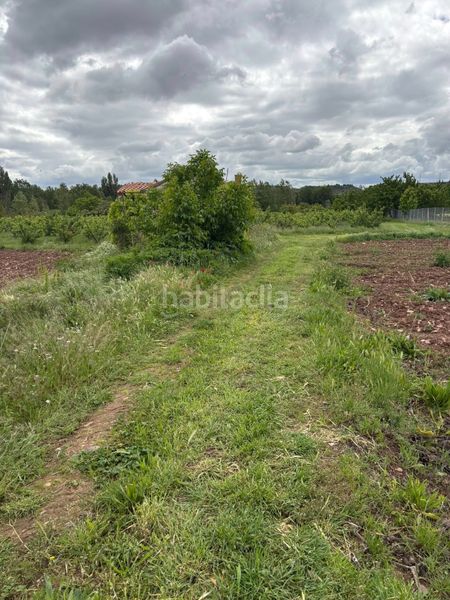 Foto c2123f80-4093-4e44-910b-8b4313551fc2. Finca rústica a calle pío sicilia 15 a Alberite
