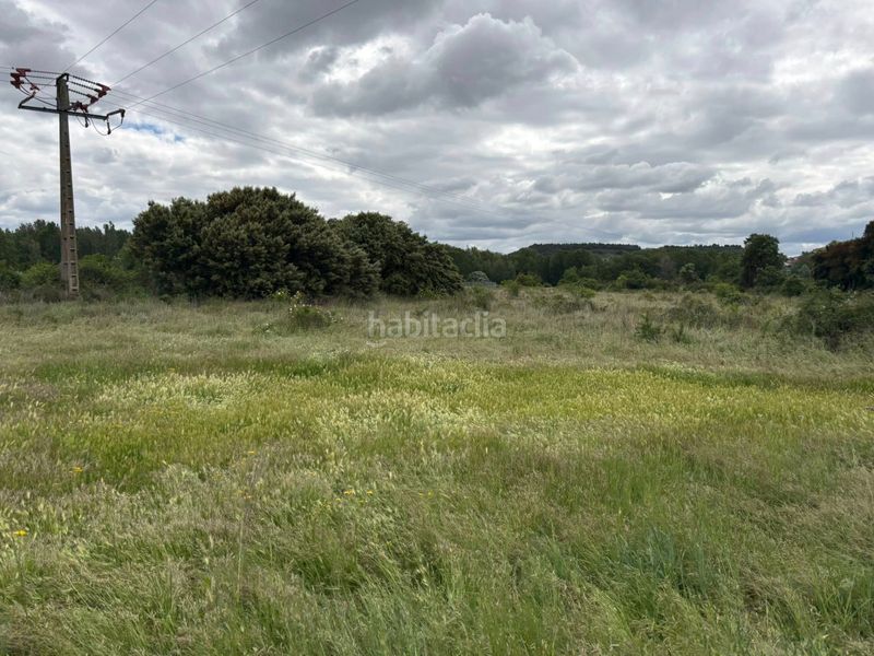 Foto d0b2703b-0976-457a-95d6-8c8749b7c3d1. Finca rústica a calle pío sicilia 15 a Alberite