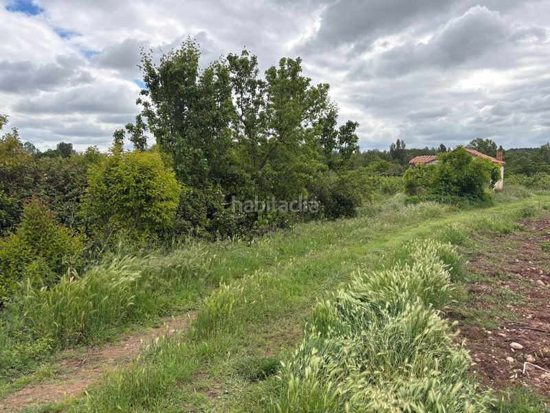 Foto daf3d0fc-bdef-4089-bc00-f197e3b6acdc. Finca rústica a calle pío sicilia 15 a Alberite