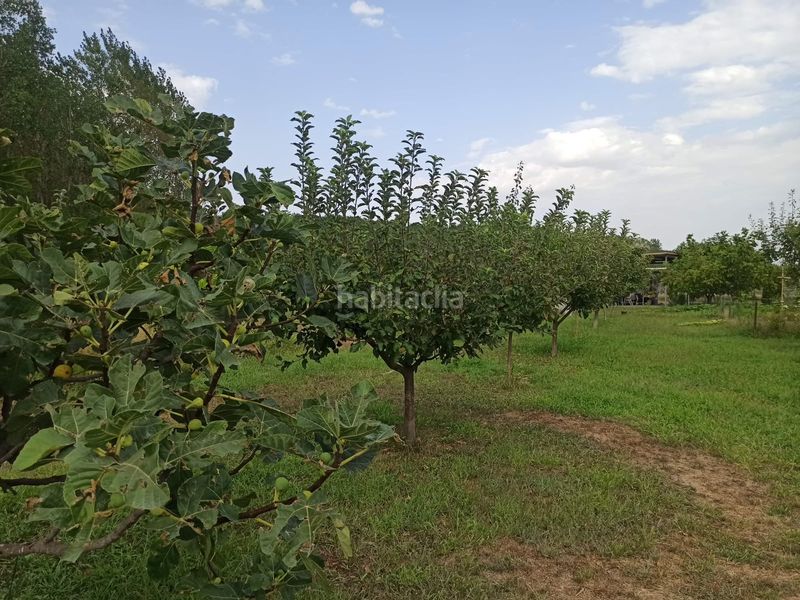Foto 1c17baef-f4d0-4e84-ae84-204fd1fb3051. Finca rústica a carretera recajo 8 a Viana