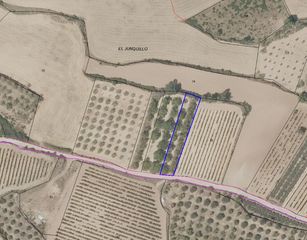 Landgut  Calle poligono 18. Finca de olivos