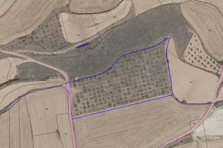Rural plot in Ribafrecha. Almendros