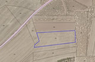 Rural plot in Ribafrecha. Secano