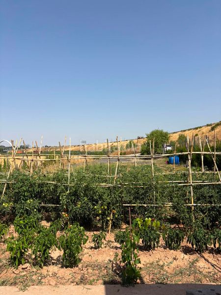 Foto 193f0fd9-42be-456a-bae0-84c50394c422. Finca rústica a La Portalada - Varea Logroño