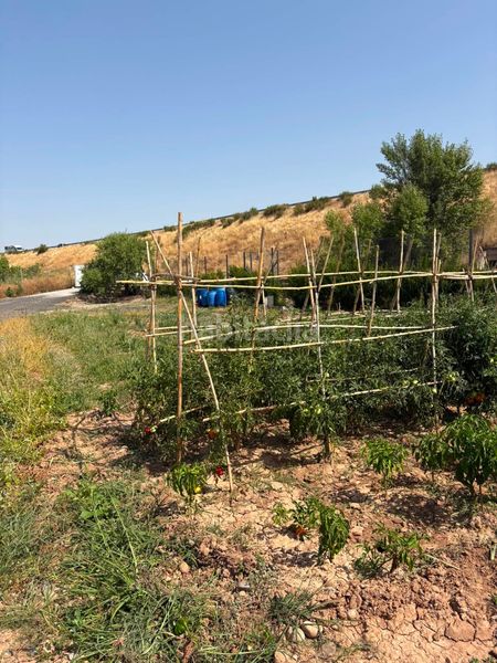 Foto e73373ea-2576-4beb-8b69-5c46ac664701. Finca rústica a La Portalada - Varea Logroño