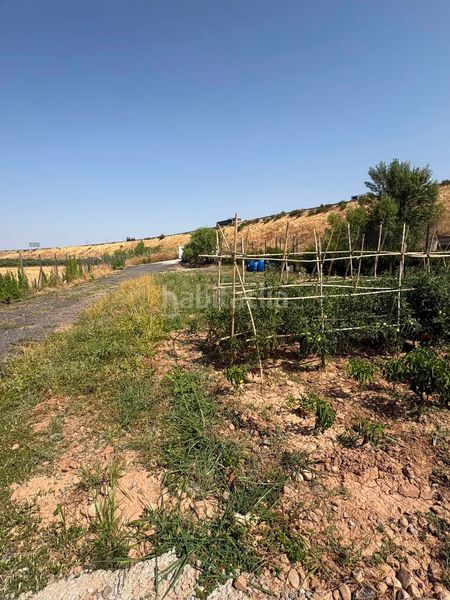Foto f7fe8332-d54b-46c0-97ad-3251d8ed4ef2. Finca rústica a La Portalada - Varea Logroño