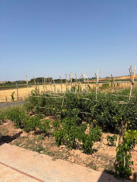 Foto fe8a9290-004a-4cf1-b5d5-e13a4210e158. Finca rústica a La Portalada - Varea Logroño