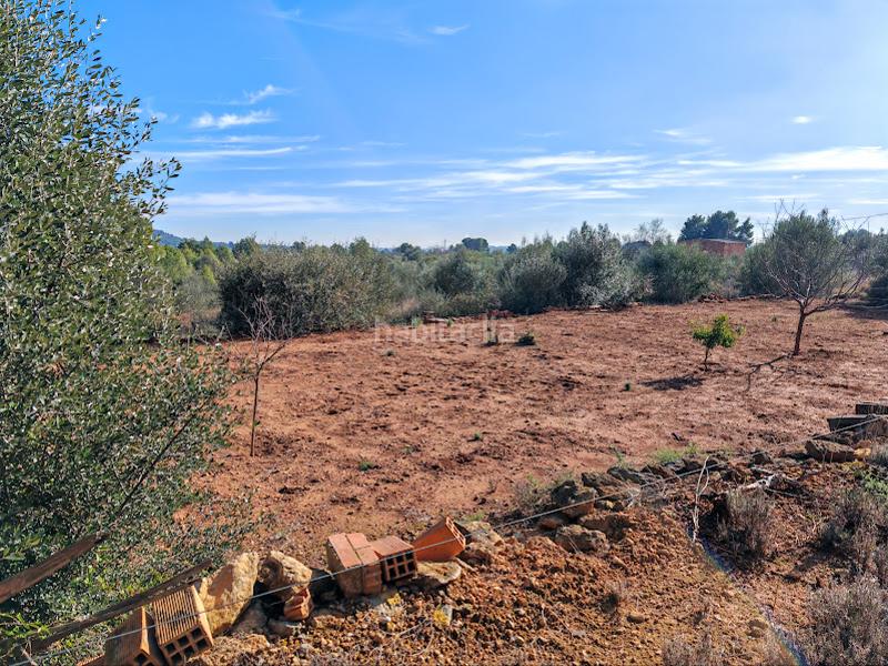 Foto 46554c34-e737-4cd4-8de3-9b76c37056c4. Mas dans Onda