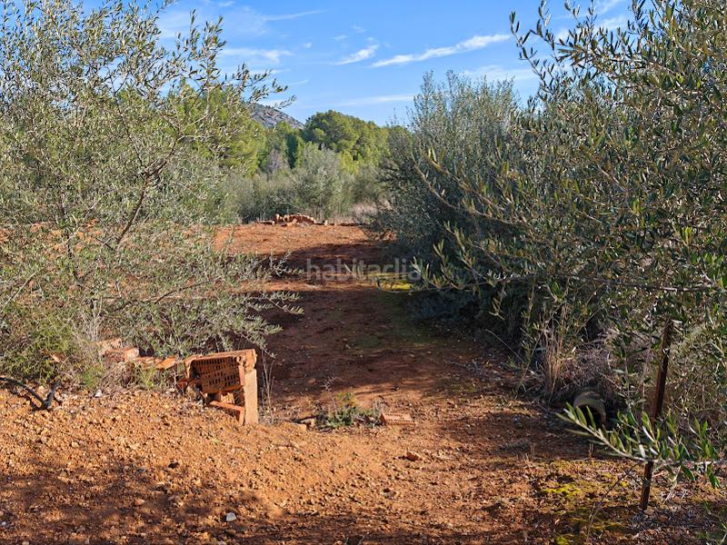 Foto 8e9a35f1-c5b6-4dbe-a6bb-a93755c92eb7. Mas dans Onda