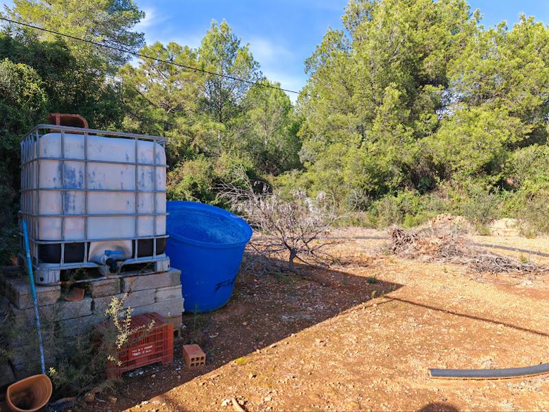 Foto 93904f17-ccfd-4a84-8a9d-09cdf5edf8a0. Mas dans Onda