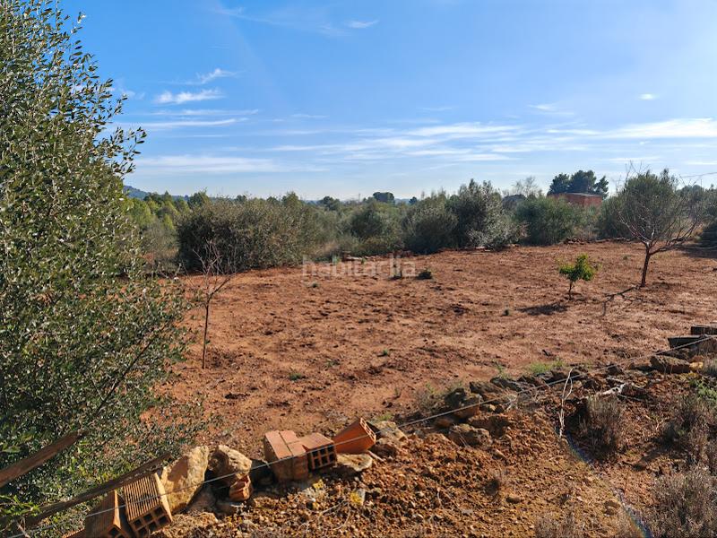 Foto d97eb7fd-2ec5-427a-bfff-f8345706f096. Mas dans Onda