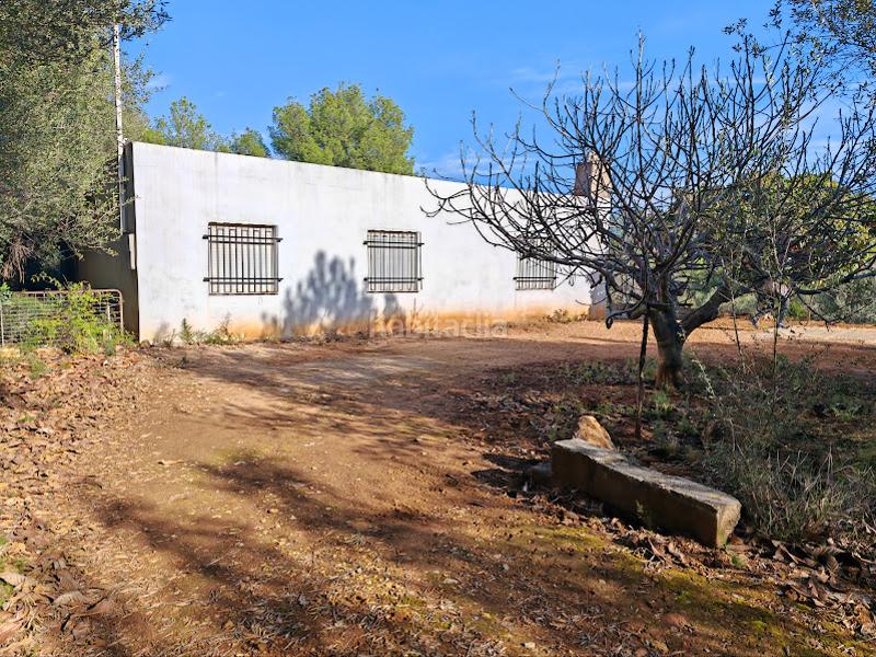 Foto efbe75ce-0ff5-46fe-a04f-25ad0e1af6b1. Mas dans Onda