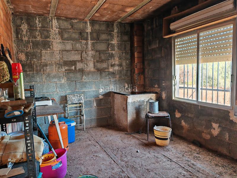 Foto 80745bcc-5c1c-4327-bea1-6afd1a11320a. Mas dans Onda