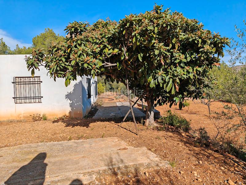 Foto 80ad3ad2-5a67-4e2c-8776-73ca58c8e134. Mas dans Onda