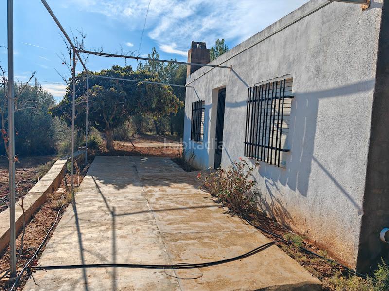 Foto d89cd276-3fa5-49b6-b017-6fdb9ae1b5df. Mas dans Onda