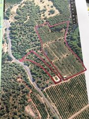 Finca rústica a Ribesalbes