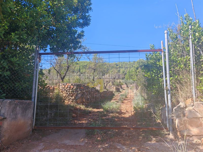 Foto a970eae3-6fc7-4270-bbc2-e24df3798489. Finca rústica a Onda
