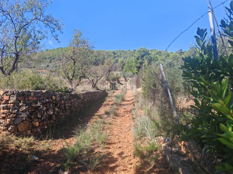 Foto ba7902eb-9e3c-4c6d-9eeb-8b102f81f3c0. Finca rústica a Onda