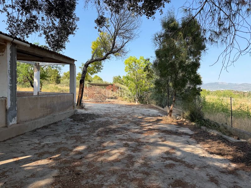 Foto f808b999-810f-4ab1-a042-ec9afe479069. Masia amb aparcament piscina a Alcora (l´)