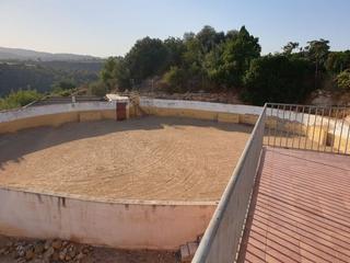 Mas  Camí fondo. Tentadero en onda. 2716m2 de terreno con almacen con chimenea, a