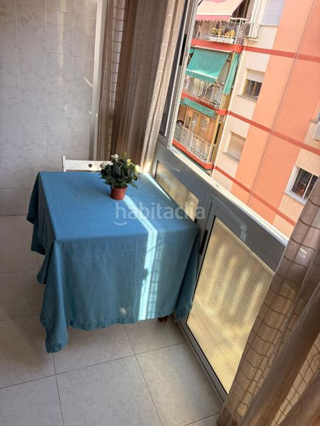 Foto 44bbc1e0-3e74-49f3-bfd0-4d6561a491db. Pis a Florida Alta Alicante
