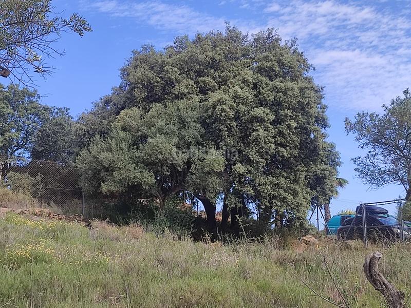 Foto 936bb296-b1b6-4b41-a907-cee771587a7f. Terreno residenziale in Coín