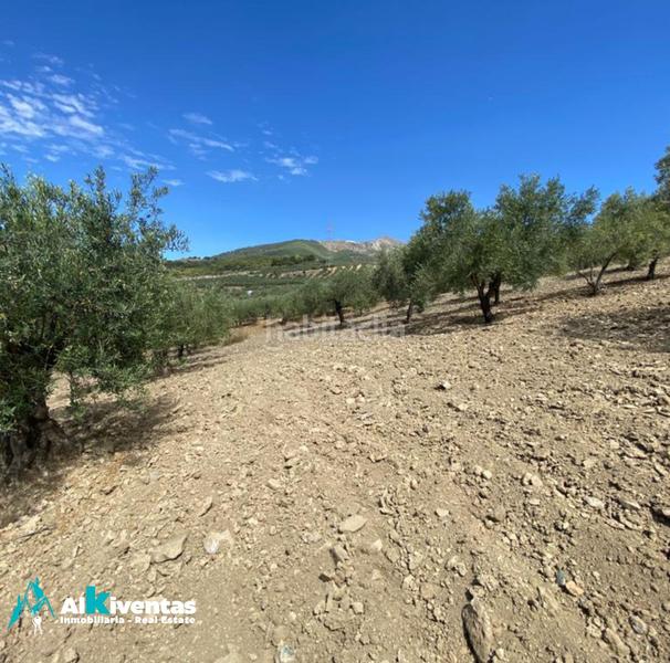 Foto 42985d00-b77d-4fed-87de-cad59248e393. Wohngrundstück in Casarabonela