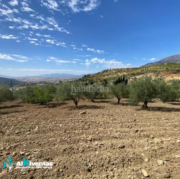 Foto 5d33589b-cd9f-4f8e-844b-fdc10179ba5f. Wohngrundstück in Casarabonela