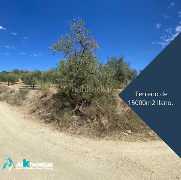 Foto a8ce74c1-1ac6-437a-b4eb-5e0f59e947ef. Wohngrundstück in Casarabonela