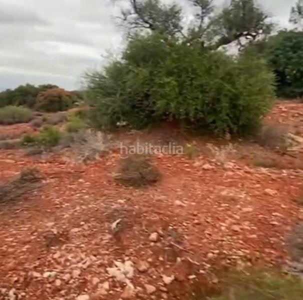 Foto d44f333b-4a8b-47bf-be14-f25d34ddece3. Finca rústica a Centro Alhaurín el Grande