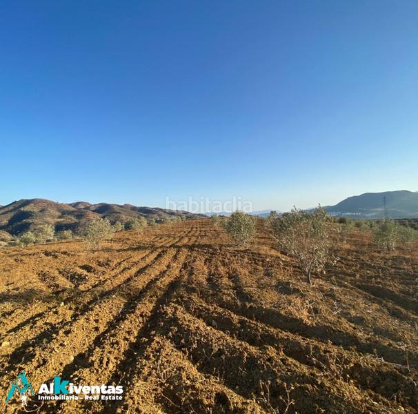 Foto 1b2d8825-43cf-43fb-82cc-b325b64a67db. Propriété dans Álora