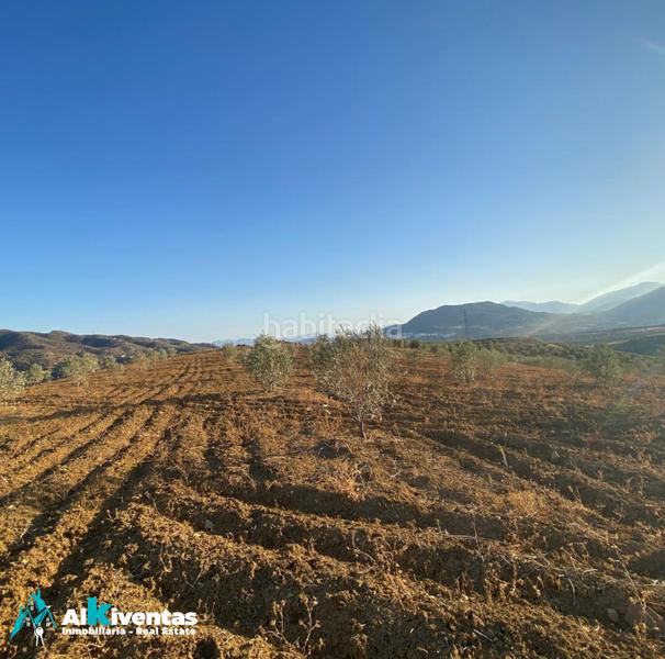 Foto 3b30736b-4d74-47b2-864a-43d0b6a3ad46. Propriété dans Álora