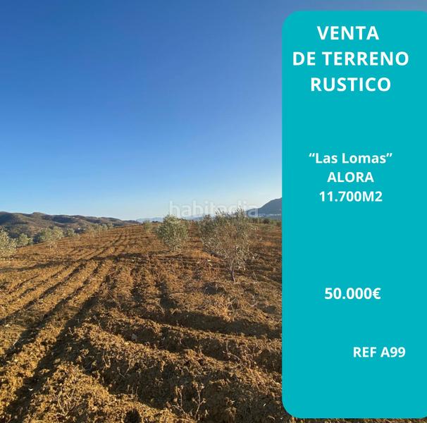 Foto 3f23cd93-0770-4193-ade2-e455bdf24196. Propriété dans Álora