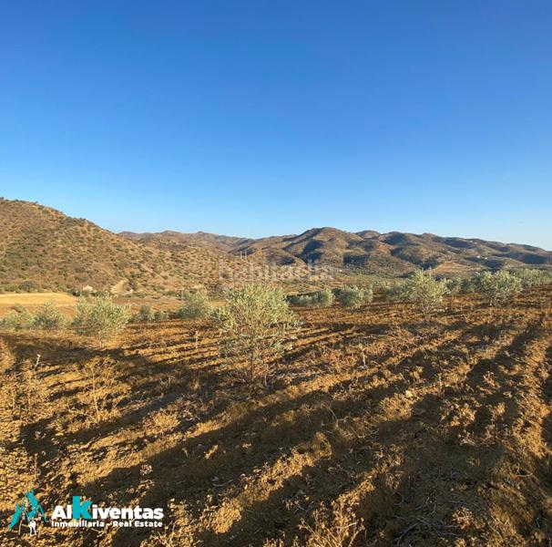 Foto 8901f880-ab92-4947-89e7-d66dd7d75786. Propriété dans Álora