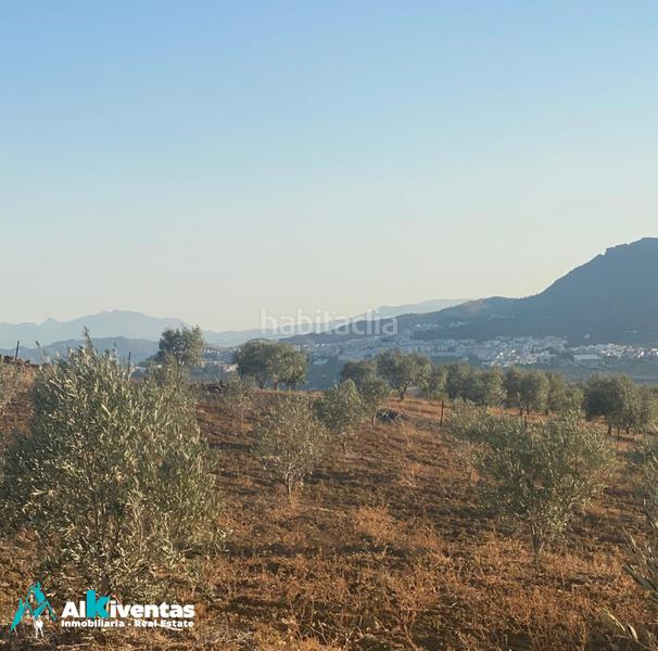 Foto b8d44152-9697-4484-bf42-4501445e7d8a. Propriété dans Álora