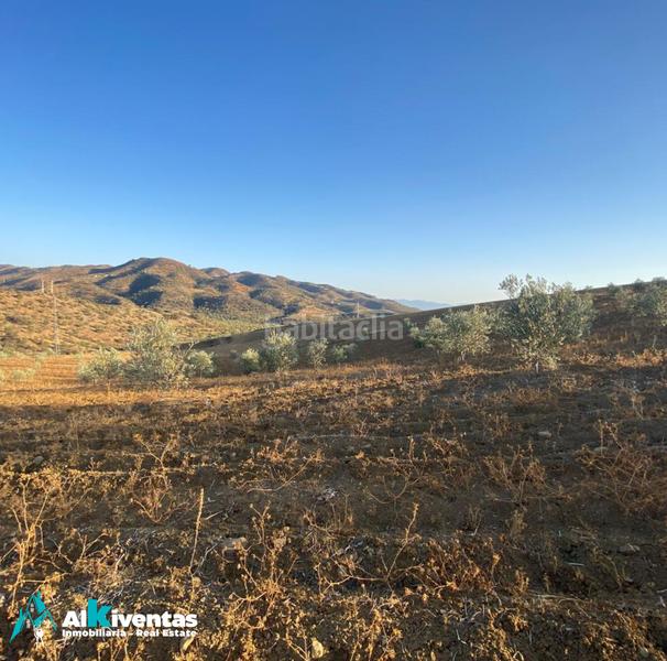 Foto c6a1fb0f-a829-4c70-b6ca-2512112367a1. Propriété dans Álora