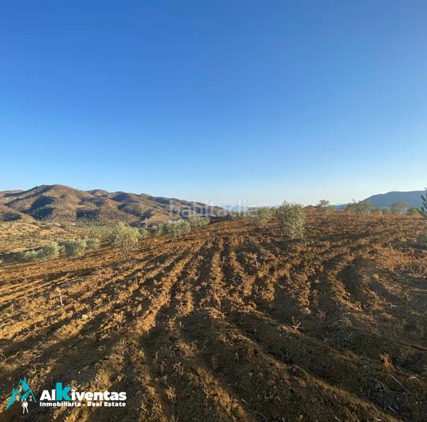 Foto d21882fd-5dc5-44fe-bdfa-4cb3e3b23055. Propriété dans Álora